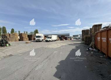 Terrain 6000 m²