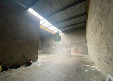 Local d'activité 542 m²