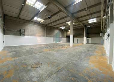 Local d'activité 732 m²
