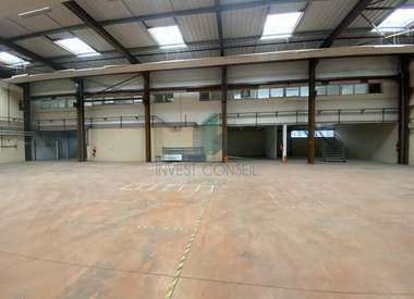 Local d'activité 1100 m²