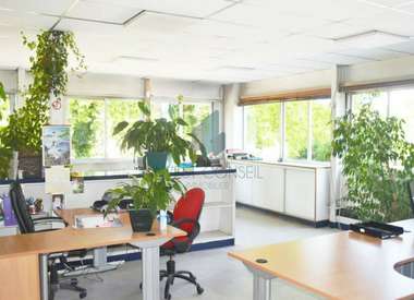 Bureaux 550 m²