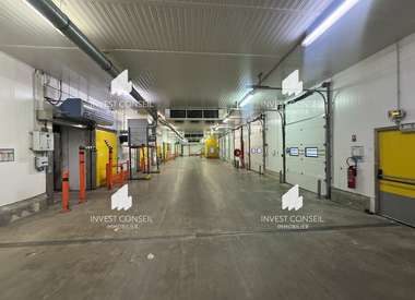 Local d'activité 5315 m²