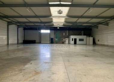 Local d'activité 1482 m²